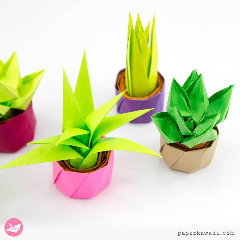 Origami Succulent Pot Plants Diagram - Paper Kawaii Shop