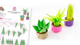 Origami Succulent Pot Plants Diagram